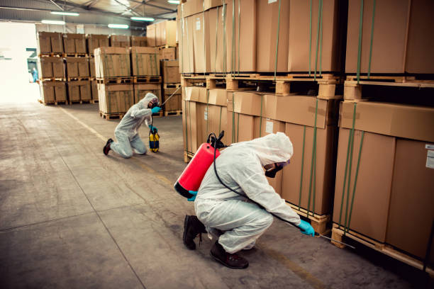 Best Emergency Pest Control  in Cooper, TX