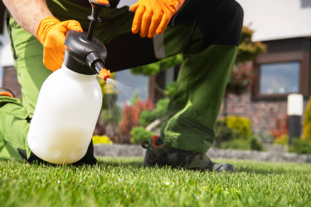 Best Best Pest Control Companies  in Cooper, TX