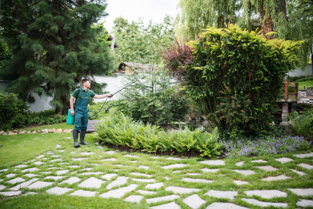 Best Affordable Pest Control Services  in Cooper, TX
