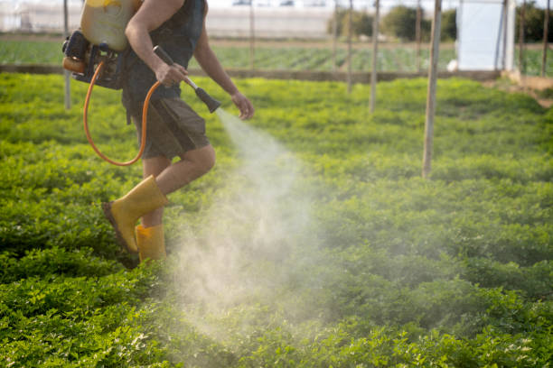 Best Best Pest Control Companies  in Cooper, TX