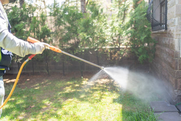 Reliable Cooper, TX Pest Control Solutions